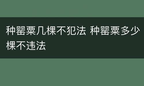 种罂粟几棵不犯法 种罂粟多少棵不违法
