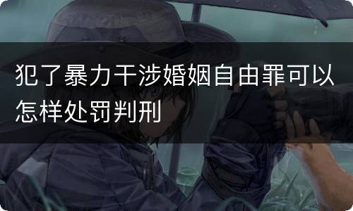 犯了暴力干涉婚姻自由罪可以怎样处罚判刑
