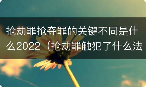 抢劫罪抢夺罪的关键不同是什么2022（抢劫罪触犯了什么法律）