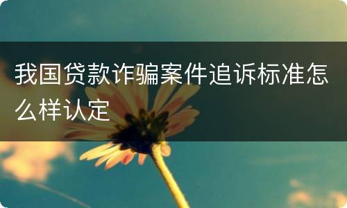 我国贷款诈骗案件追诉标准怎么样认定