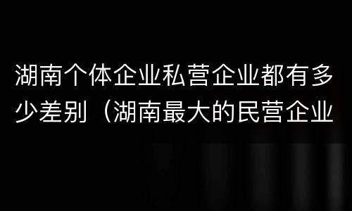 湖南个体企业私营企业都有多少差别（湖南最大的民营企业）
