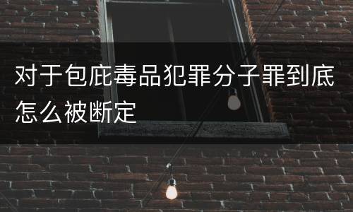 对于包庇毒品犯罪分子罪到底怎么被断定
