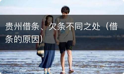 贵州借条、欠条不同之处（借条的原因）