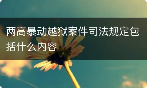两高暴动越狱案件司法规定包括什么内容