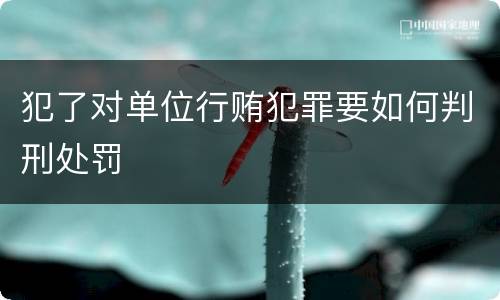 犯了对单位行贿犯罪要如何判刑处罚