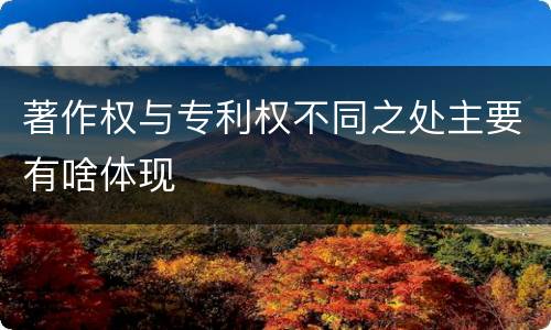 著作权与专利权不同之处主要有啥体现