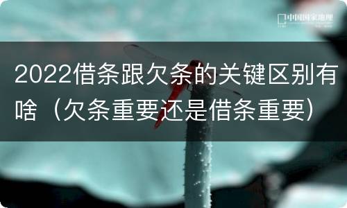 2022借条跟欠条的关键区别有啥（欠条重要还是借条重要）
