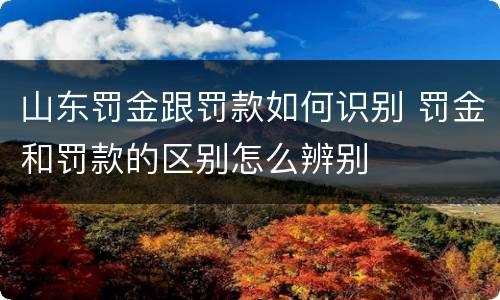 山东罚金跟罚款如何识别 罚金和罚款的区别怎么辨别