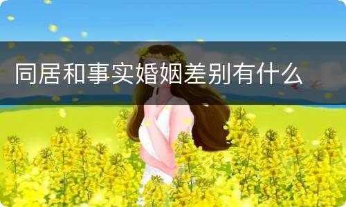 同居和事实婚姻差别有什么