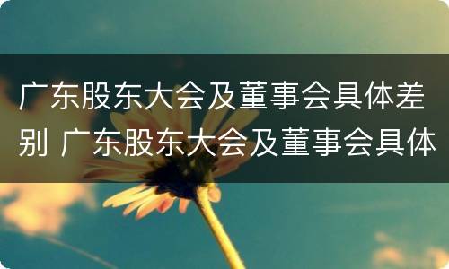 广东股东大会及董事会具体差别 广东股东大会及董事会具体差别在哪