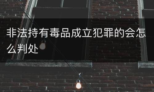 非法持有毒品成立犯罪的会怎么判处