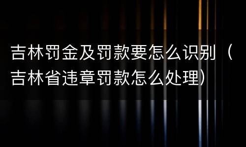 吉林罚金及罚款要怎么识别（吉林省违章罚款怎么处理）