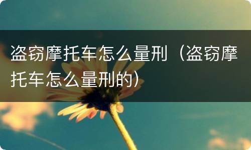 盗窃摩托车怎么量刑（盗窃摩托车怎么量刑的）