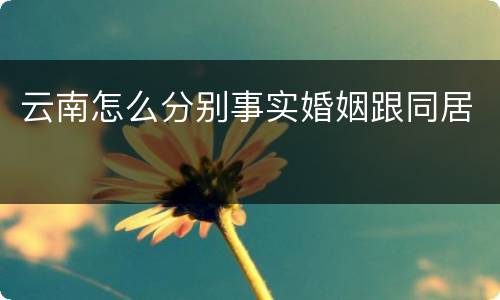 云南怎么分别事实婚姻跟同居