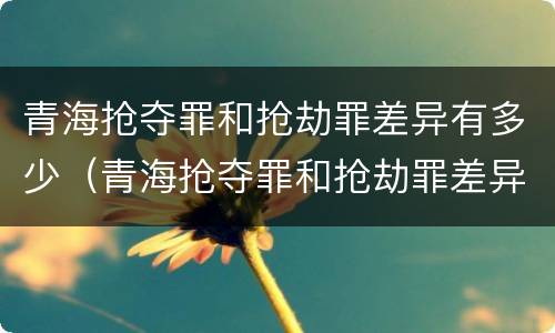 青海抢夺罪和抢劫罪差异有多少（青海抢夺罪和抢劫罪差异有多少条）