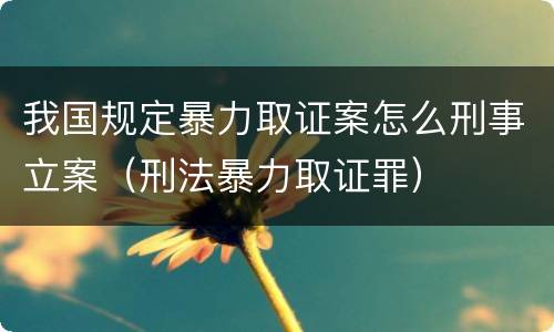 我国规定暴力取证案怎么刑事立案（刑法暴力取证罪）