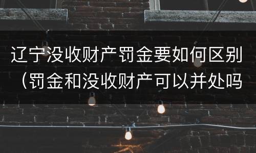 辽宁没收财产罚金要如何区别（罚金和没收财产可以并处吗）