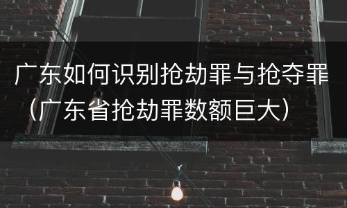 广东如何识别抢劫罪与抢夺罪（广东省抢劫罪数额巨大）