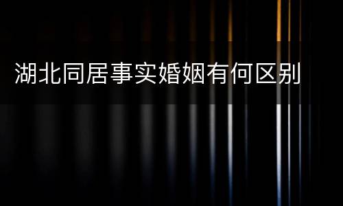 湖北同居事实婚姻有何区别