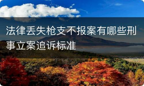 法律丢失枪支不报案有哪些刑事立案追诉标准