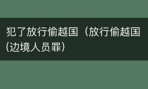 犯了放行偷越国（放行偷越国(边境人员罪）