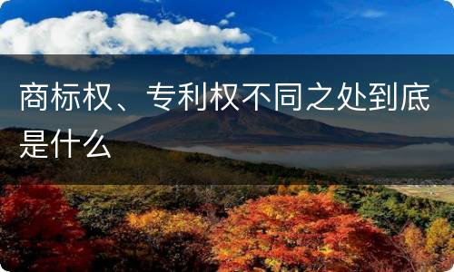 商标权、专利权不同之处到底是什么