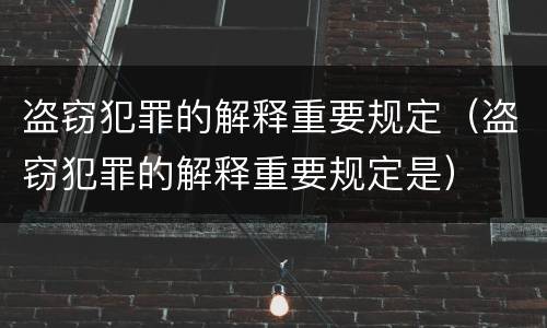 盗窃犯罪的解释重要规定（盗窃犯罪的解释重要规定是）