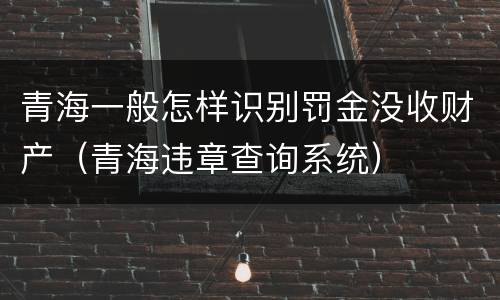 青海一般怎样识别罚金没收财产（青海违章查询系统）
