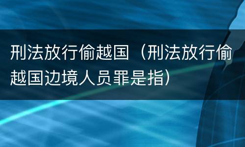 刑法放行偷越国（刑法放行偷越国边境人员罪是指）
