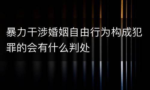 暴力干涉婚姻自由行为构成犯罪的会有什么判处