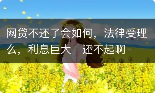 网贷不还了会如何，法律受理么，利息巨大
还不起啊