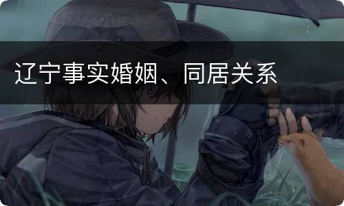 辽宁事实婚姻、同居关系