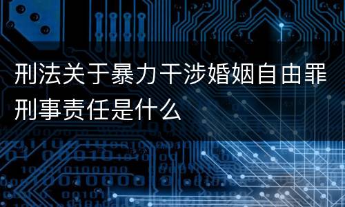 刑法关于暴力干涉婚姻自由罪刑事责任是什么