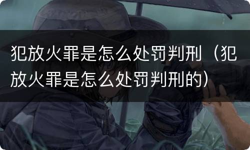 犯放火罪是怎么处罚判刑（犯放火罪是怎么处罚判刑的）