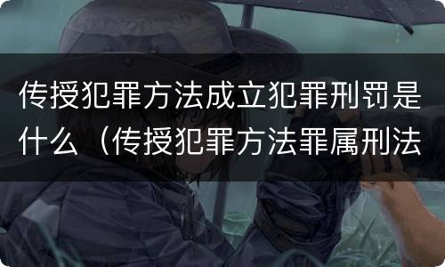 传授犯罪方法成立犯罪刑罚是什么（传授犯罪方法罪属刑法规定的）