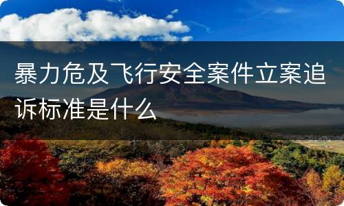 暴力危及飞行安全案件立案追诉标准是什么