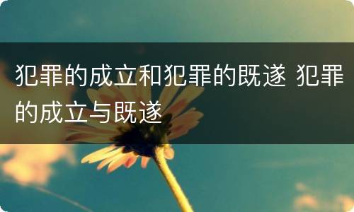 犯罪的成立和犯罪的既遂 犯罪的成立与既遂