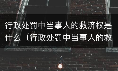 行政处罚中当事人的救济权是什么（行政处罚中当事人的救济权是什么权利）