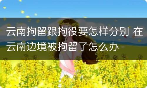 云南拘留跟拘役要怎样分别 在云南边境被拘留了怎么办