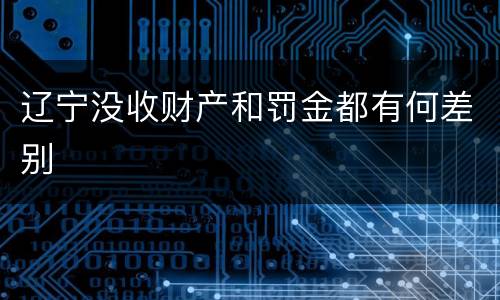 辽宁没收财产和罚金都有何差别