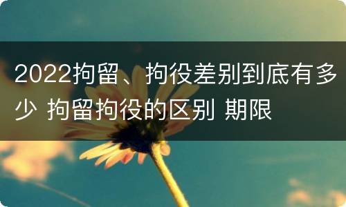 2022拘留、拘役差别到底有多少 拘留拘役的区别 期限