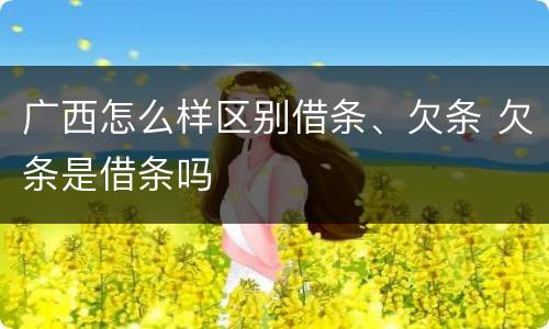 广西怎么样区别借条、欠条 欠条是借条吗