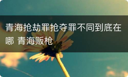 青海抢劫罪抢夺罪不同到底在哪 青海贩枪