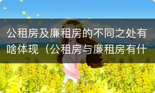 公租房及廉租房的不同之处有啥体现（公租房与廉租房有什么区别?）