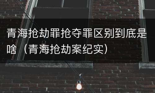 青海抢劫罪抢夺罪区别到底是啥（青海抢劫案纪实）