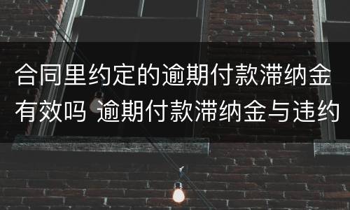 合同里约定的逾期付款滞纳金有效吗 逾期付款滞纳金与违约金