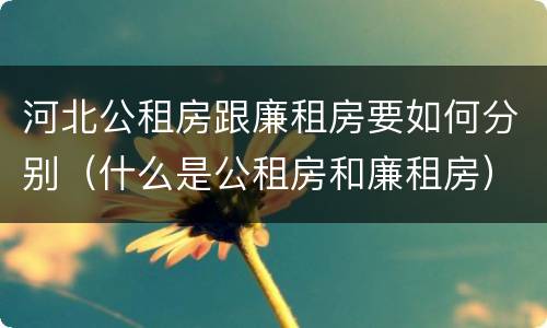 河北公租房跟廉租房要如何分别（什么是公租房和廉租房）