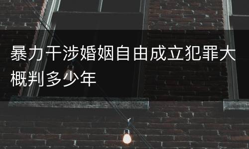 暴力干涉婚姻自由成立犯罪大概判多少年