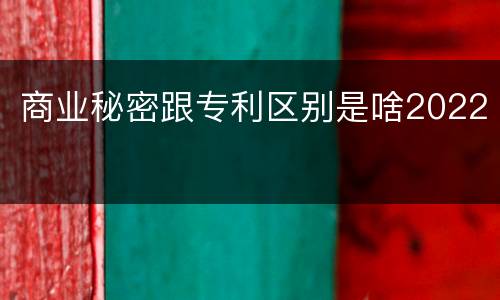 商业秘密跟专利区别是啥2022
