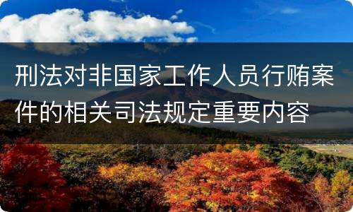 刑法对非国家工作人员行贿案件的相关司法规定重要内容